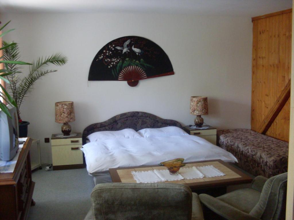 Pension U Kastanu Karlovy Vary Room photo