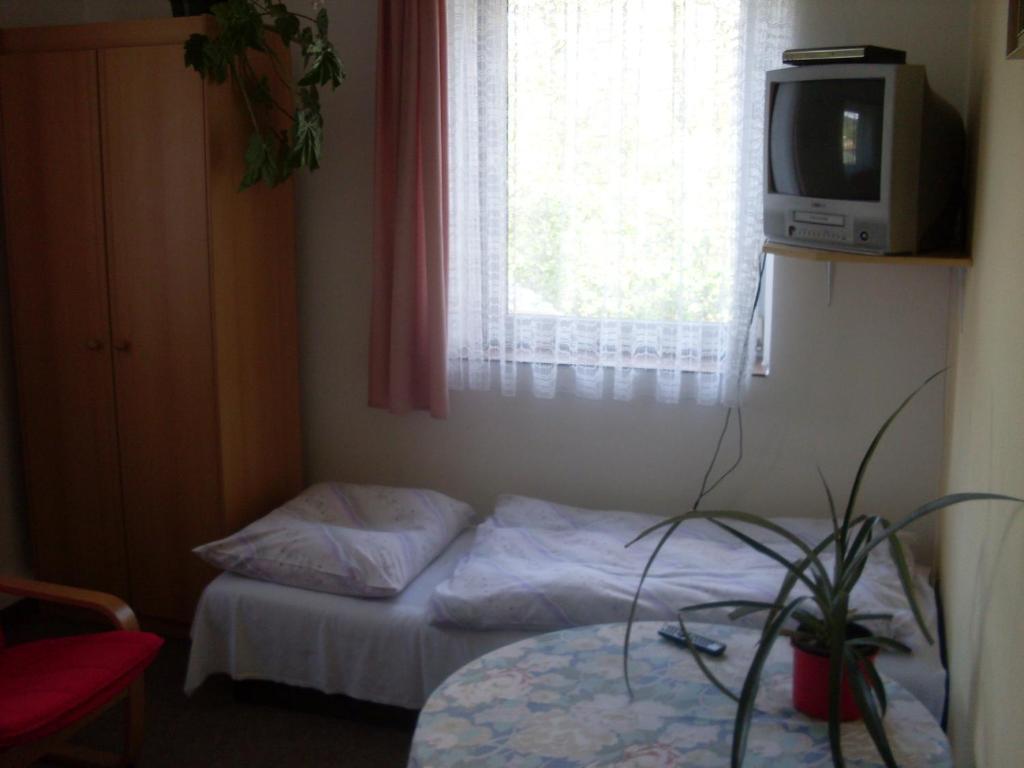 Pension U Kastanu Karlovy Vary Room photo