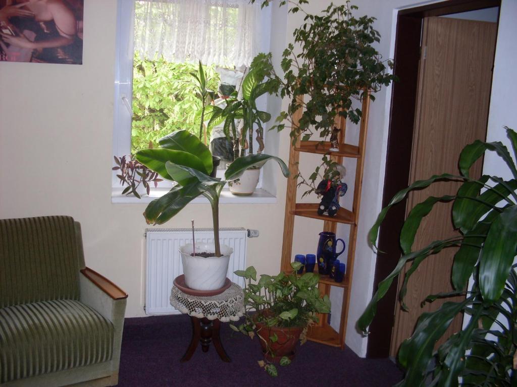 Pension U Kastanu Karlovy Vary Room photo