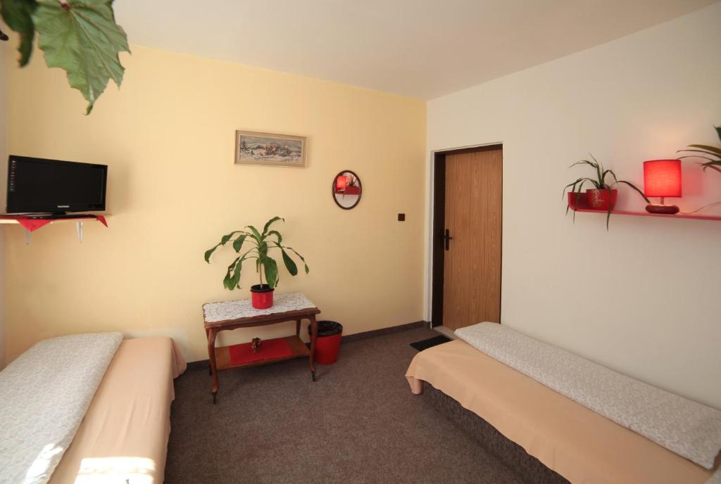 Pension U Kastanu Karlovy Vary Room photo